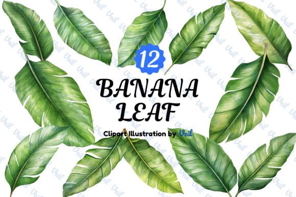 Banana Leaf Clipart Watercolor Bundle