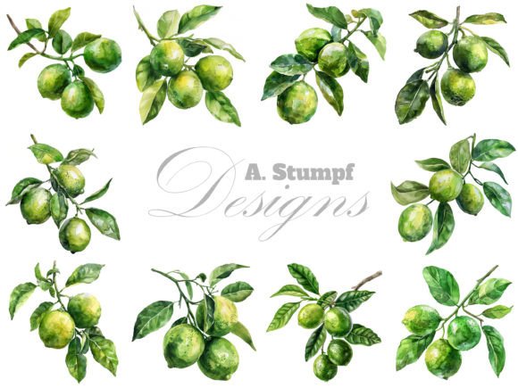 Limes on a Branch Watercolor Clipart Set