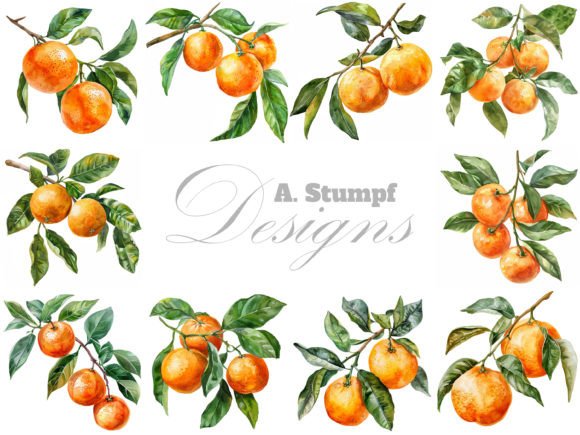 Oranges Branch Watercolor Clipart Set