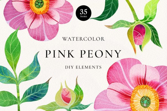 Pink Peony Watercolor DIY Elements