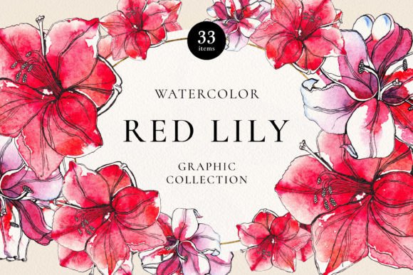 Red Lily Watercolor Collection