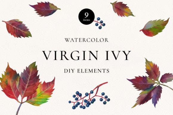 Virgin Ivy Watercolor Floral Elements: Style and Substance