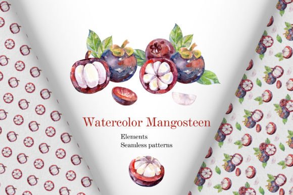 Watercolor Mangosteen.