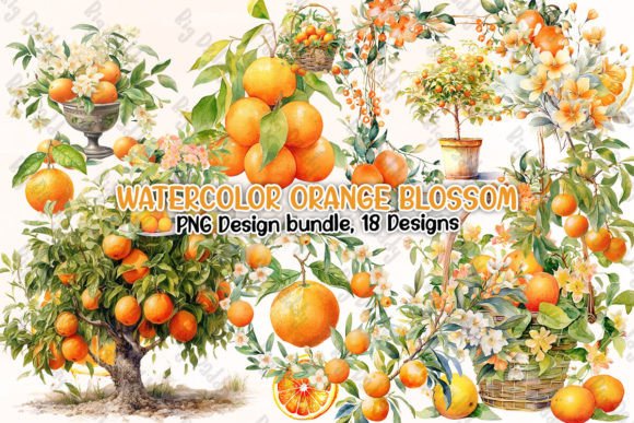 Watercolor Orange Blossom Clipart PNG