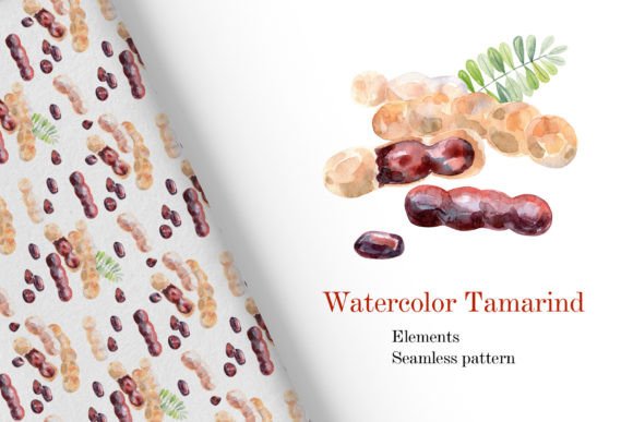 Watercolor Tamarind: A Creative Font for Modern Projects